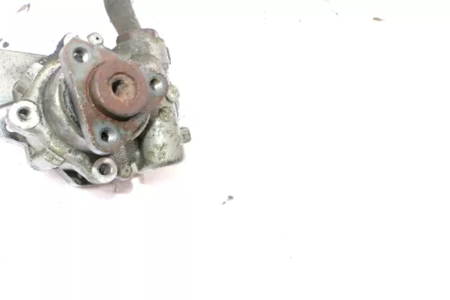 VW Passat 3B A4 B5 Servopumpe 8D0145155Q 8D0145156K Servo Pumpe 1,9 TDI (100790)