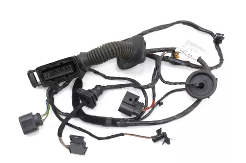 Seat Ibiza 6J 4/5-Türer Kabelbaum Tür Türkabelbaum ZV vorne links 6J4971120R