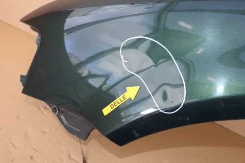 VW Passat 3B Kotflügel vorne links grün LC6N (107803)