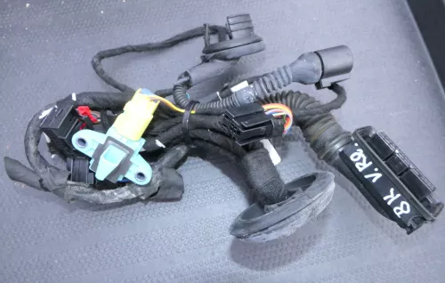 Audi A4 8K Kabelbaum Tür Türkabelbaum ZV vorne rechts 8K0971030A 8K0971030E