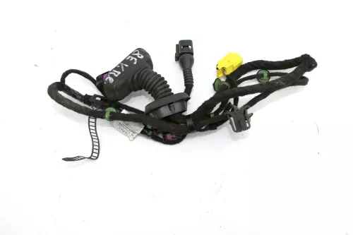 Audi 8E B7 Kabelbaum Tür Türkabelbaum ZV vorne rechts 8E1971029AH