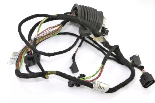 Audi A6 4B Kabelbaum Tür Türkabelbaum ZV vorne links 4B0971029B