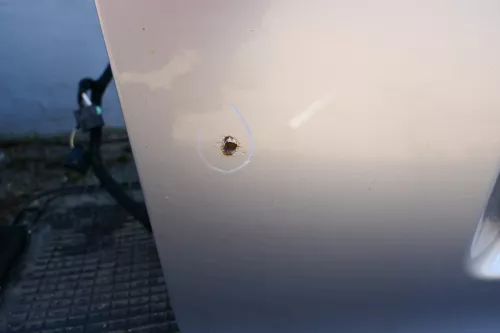 Audi A3 8P 2/3-Türer Heckklappe Klappe hinten silber grau LY7W 2/3-Türer (115991)