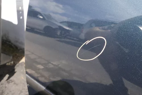 VW Golf 4 Bora Tür hinten links nur Kombi / Variant grün LC6X (116050)