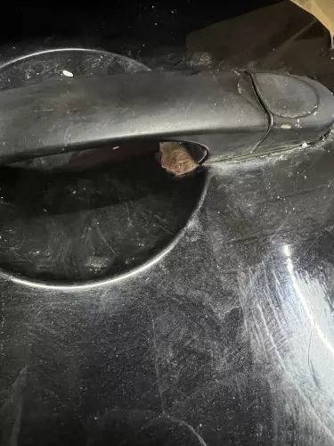 VW Touran 1T 1T3 Tür hinten links schwarz LC9X mit Scheibe und Heber (116051)