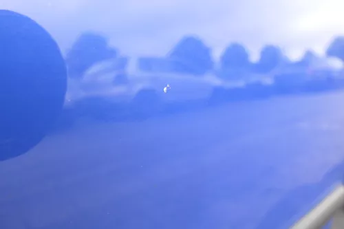 VW Golf 4 Tür vorne rechts Beifahrertür 2/3-Türer blau LW5Z (116161)