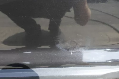 VW Polo 6N 6N2 Tür hinten rechts schwarz LC9Z 4-Türer (116191)