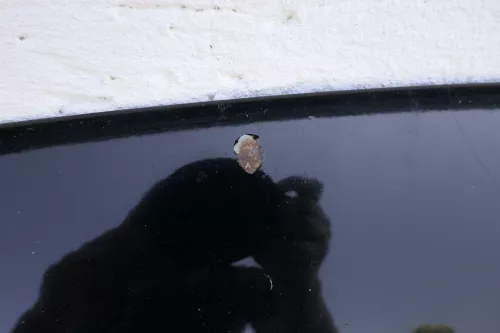 VW Lupo Motorhaube Klappe Frontklappe vorne schwarz L041 (116207)