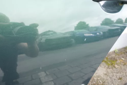 VW Golf 4 Limousine Tür Scheibe hinten links grün LC6M (KEINkombi) (116226)