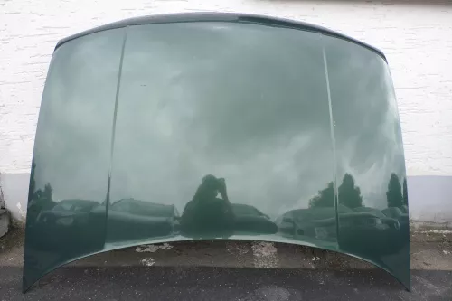 VW Golf 4 Motorhaube Haube Klappe vorne grün LC6M brightgreen