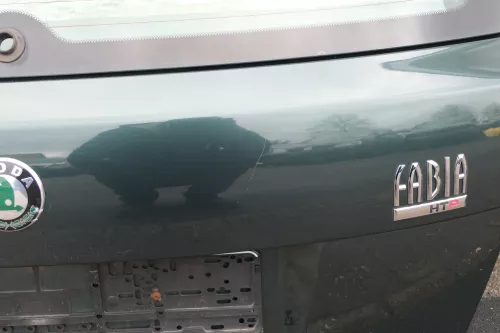 Skoda Fabia 6Y6 Schrägheck Heckklappe Kofferraumklappe Klappe hinten grün 9572 (118266)