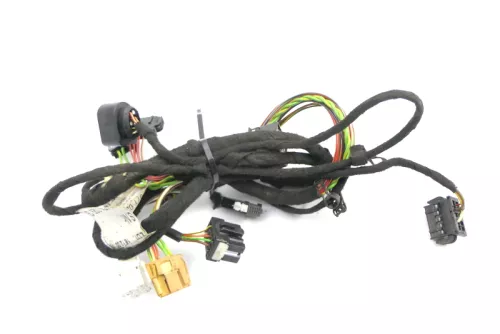 Audi A6 4B Kabelbaum Tür Türkabelbaum ZV vorne rechts 4B0971029G