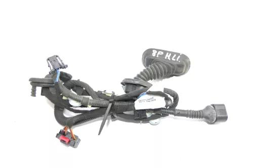 Audi A3 8P 4/5-Türer Kabelbaum Tür Türkabelbaum ZV hinten links 8P4971687R