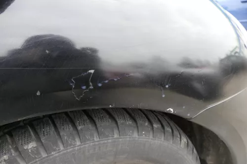 VW New Beetle 9C Kotflügel vorne rechts schwarz L041 1C0821104H (122621)