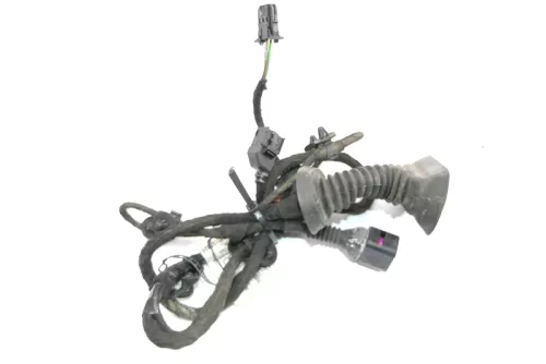 Audi 8E B6 Kabelbaum Tür Türkabelbaum ZV vorne rechts 8E1971029F 8E1971029G