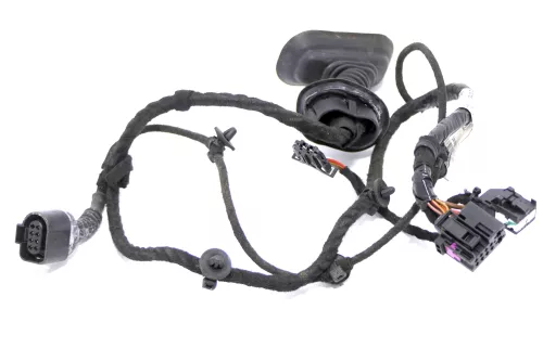 1x Audi 8E B6 Kabelbaum Tür Türkabelbaum ZV hinten rechts oder links 8E0971687E (126163)