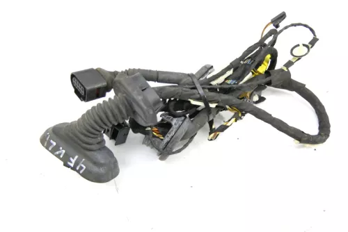 Audi A6 4F Kabelbaum Tür Türkabelbaum ZV vorne links 4F1971029AD