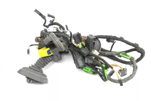 Audi A6 4F Kabelbaum Tür Türkabelbaum ZV vorne links 4F1971029C 4F1971035Q (126194)