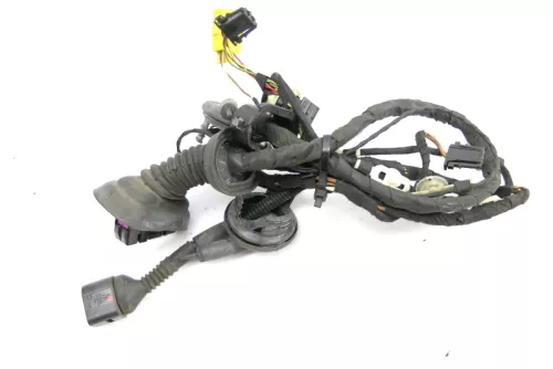 Audi A6 4F Kabelbaum Tür Türkabelbaum ZV vorne rechts 4F1971030AD