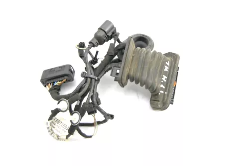 VW Golf 5 Kombi Variant Kabelbaum Tür Türkabelbaum ZV hinten links 1K9971693Q