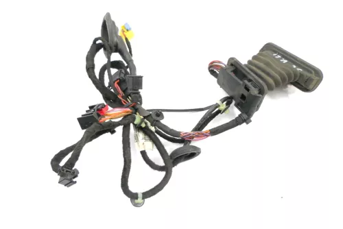 VW Passat 3C Kabelbaum Tür Türkabelbaum ZV vorne links Leitungssatz 3C1971120DA