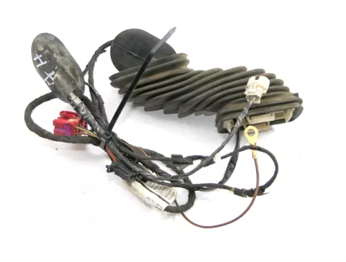 VW T5 Kabelbaum Tür Türkabelbaum ZV vorne links 7H0971161JP