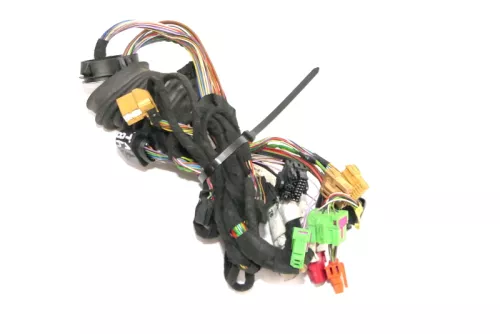 Audi A6 4B Kabelbaum Tür Türkabelbaum ZV vorne links 4B0971035AJ