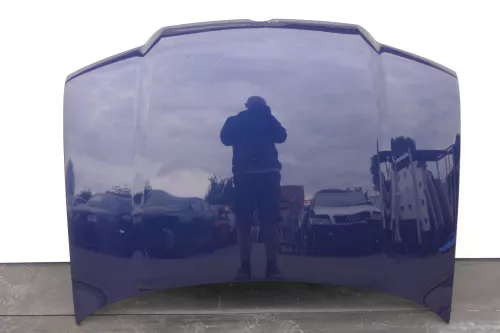 VW Bora Motorhaube Haube Klappe vorne blau LB5N indigoblau (130090)