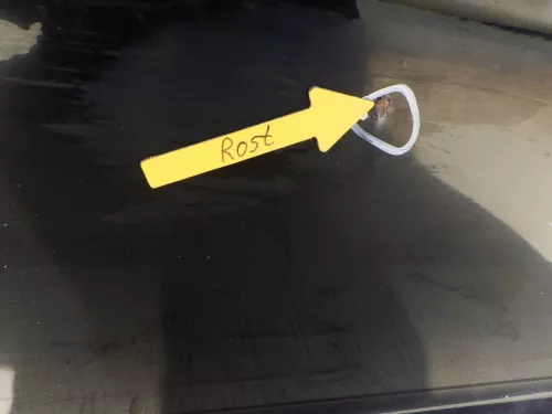 VW Golf 4 Bora Tür vorne rechts Beiahrertür 4/5-Türer+ Kombi Avant schwarz L041 (141098)