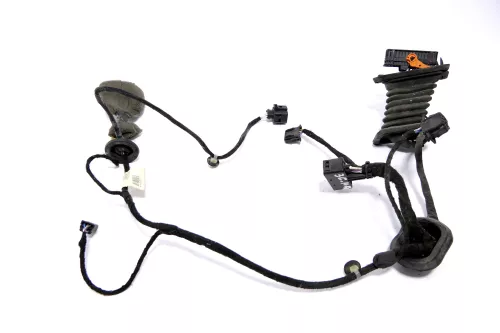 VW Passat 3C Kabelbaum Tür Türkabelbaum ZV hinten rechts 3C4971694FP /FR (146847)