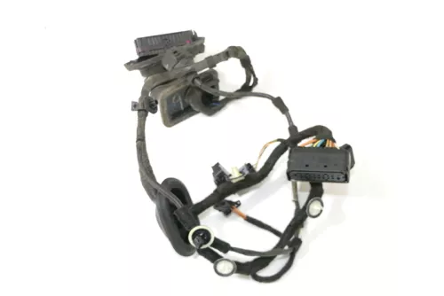 VW Golf 5 Kombi Variant Kabelbaum Tür Türkabelbaum ZV hinten rechts 1K9971694AD (154368)