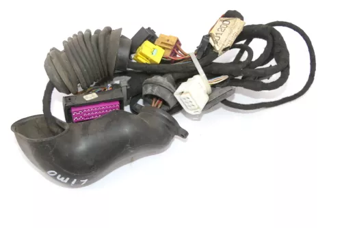 VW Passat 3B Kabelbaum Tür Türkabelbaum ZV vorne links 3B0971120D bis 1997 (155118)