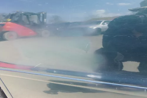 Audi A4 B5 Tür Türblatt hinten rechts grün LZ6U Kombi Limo (156429)