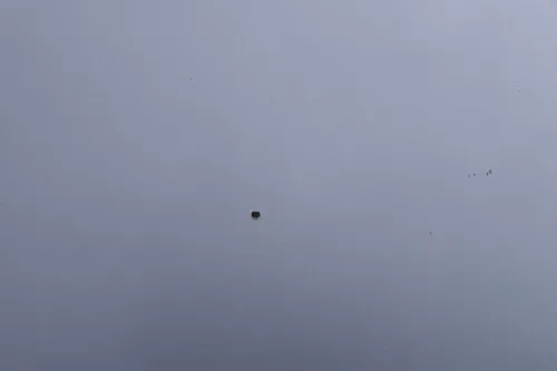 Audi A3 8L Motorhaube Frontklappe Haube silber LY7W grau auch für Facelift (156995)