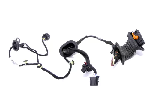 VW Passat 3C Kabelbaum Tür Türkabelbaum ZV hinten links 3C4971693GN (157013)