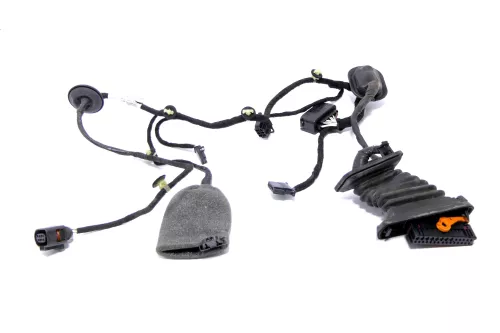 VW Passat 3C Kabelbaum Tür Türkabelbaum ZV hinten rechts 3C4971694GN