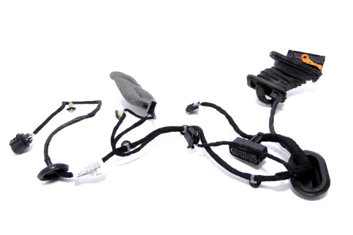 VW Passat 3C Kabelbaum Tür Türkabelbaum ZV hinten rechts 3C4971694GN (157014)