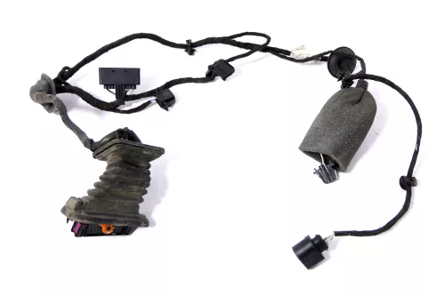 VW Passat 3C Kabelbaum Tür Türkabelbaum ZV hinten links 3C4971693ES (157151)