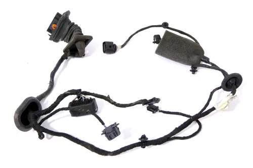 VW Passat 3C Kabelbaum Tür Türkabelbaum ZV hinten links 3C4971693ES (157151)