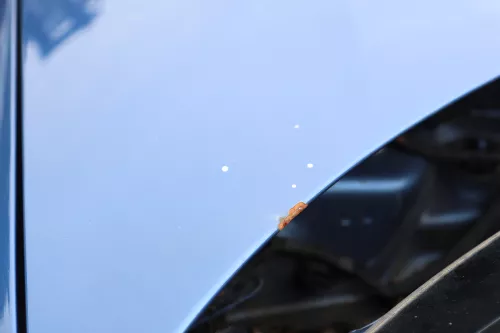 Audi A3 8P 4/5-Türer Motorhaube Haube Klappe vorn vorne blau LZ5C Sportback d (158484)