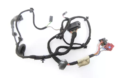 VW Passat 3BG 3B Variant Kabelbaum Tür Türkabelbaum ZV hinten links 3B0971161J