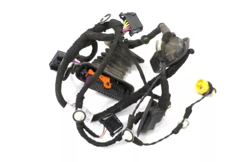 VW Golf 6 Kombi Variant Kabelbaum Tür Türkabelbaum ZV vorne rechts 1K9971121A