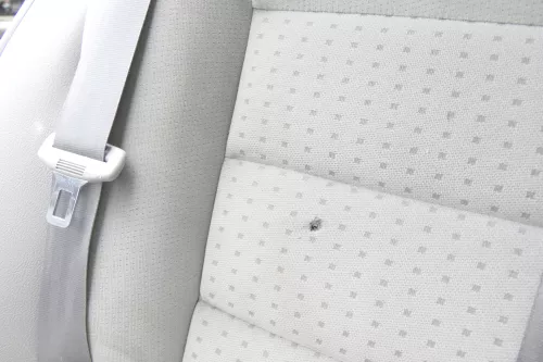 Golf 4 Limousine Sitz Rückbank Rücksitzbank Sitzfläche Kopfstützen Velour grau (159308)