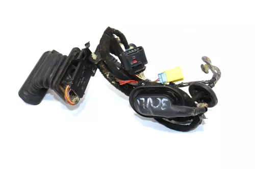 Passat 3C B7 Kabelbaum Tür Türkabelbaum ZV vorne links Leitungssatz 3AB971120AJ (159955)