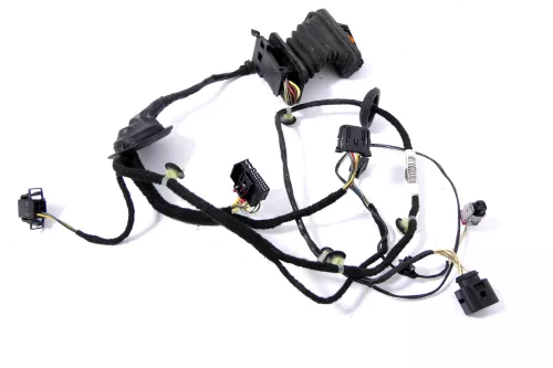 Passat 3C B7 Kabelbaum Tür Türkabelbaum ZV hinte rechts Leitungssatz 3AA971694CD (159958)