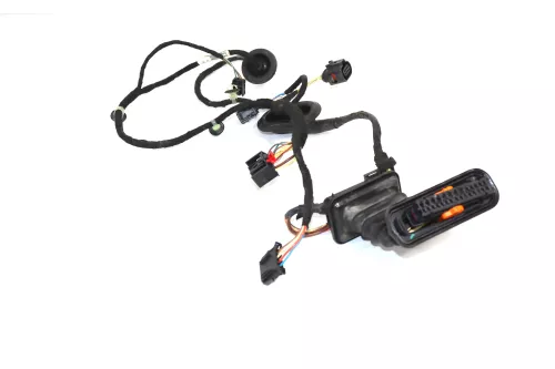 VW Passat 3C Kabelbaum Tür Türkabelbaum ZV hinten links 3C4971693LP /NF /PR (160034)