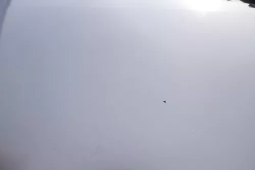 VW Sharan 7M Motorhaube Klappe Haube vorn vorne silber LB7Z satinsilber (160038)