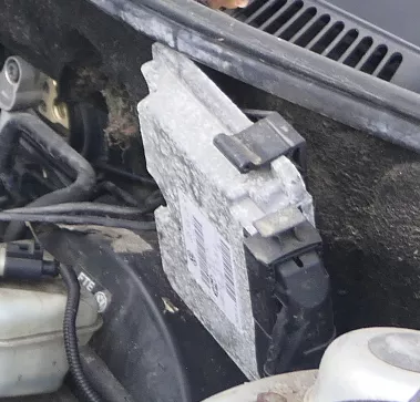 Seat Ibiza 6L Steuergerät 1,4 55kw 75PS BBY 036906034AH Motor Motorsteuergerät