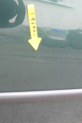 VW Golf 4 Tür vorne links Fahrertür 2/3-Türer grün LC6M brightgreen ohne Anbaut (161058)