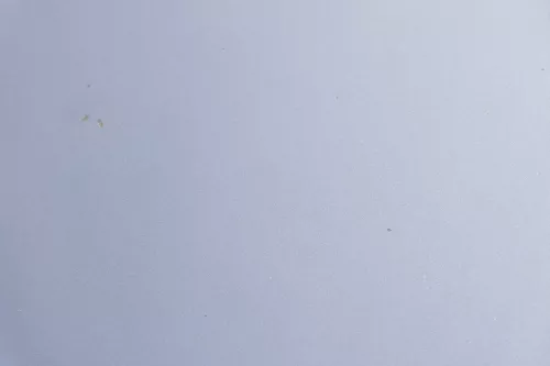 Skoda Fabia 6Y Motorhaube Klappe vorne grau LF7V mit Grill vorn (162150)